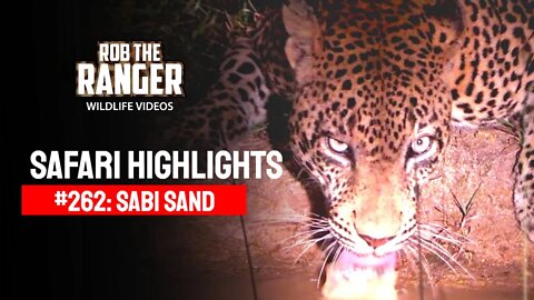 Safari Highlights #262: 06 - 09 April 2014 | Sabi Sand Nature Reserve | Latest Wildlife Sightings