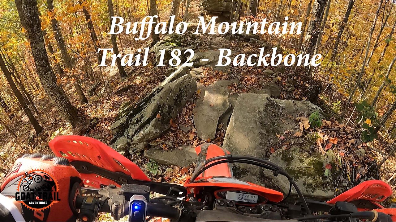 Hatfield McCoy Buffalo Mountain - Trail 182 backbone