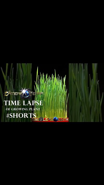 🌎Time Lapse de Planta | Time Lapse of Growing Plant |2021 |#Shorts