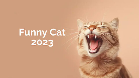 Funny Cat 2023 | Best Funny Cat