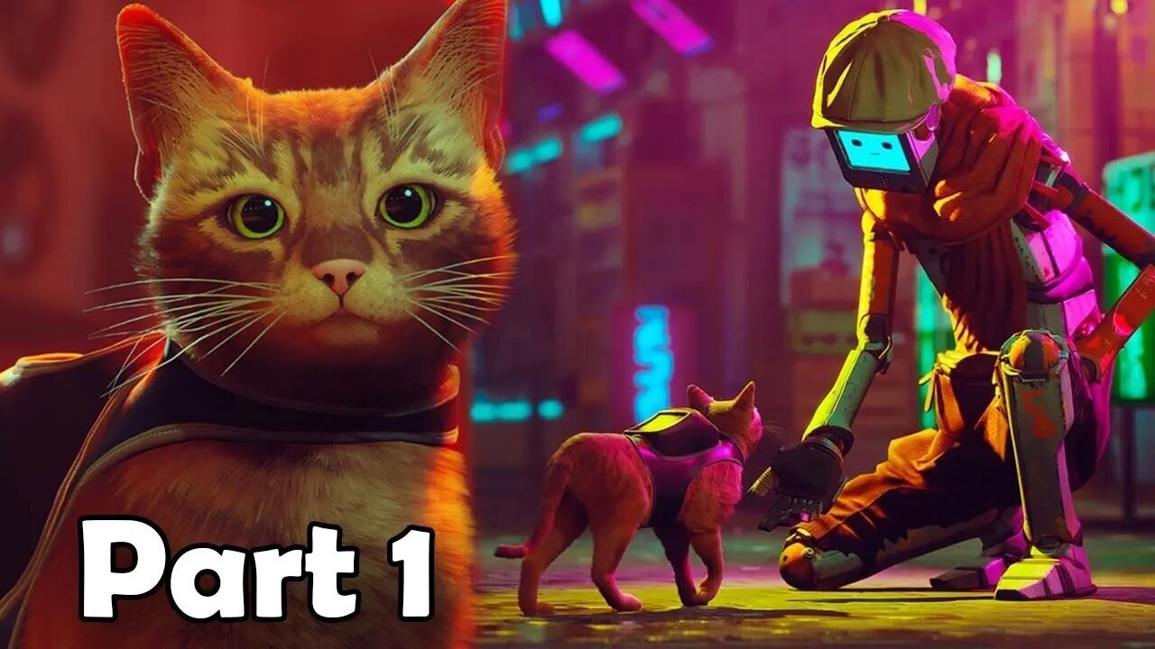 Let's Take Care Of This Lonely Cat STRAY PS5 Gameplay Part 1 #straycat #stray #game #boringgamer