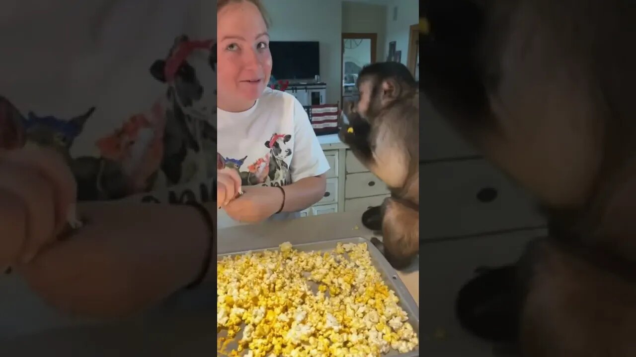 Gaitlyn Rae POPCORN🍿