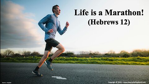 Life is a Marathon! (Hebrews 12) – A daily Bible study from www.HeartofAShepherd.com.