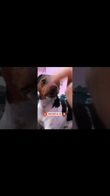 QUANDO VOCÊ PEGA RANÇO DA CARA DA PESSOA🤣🤣🤣