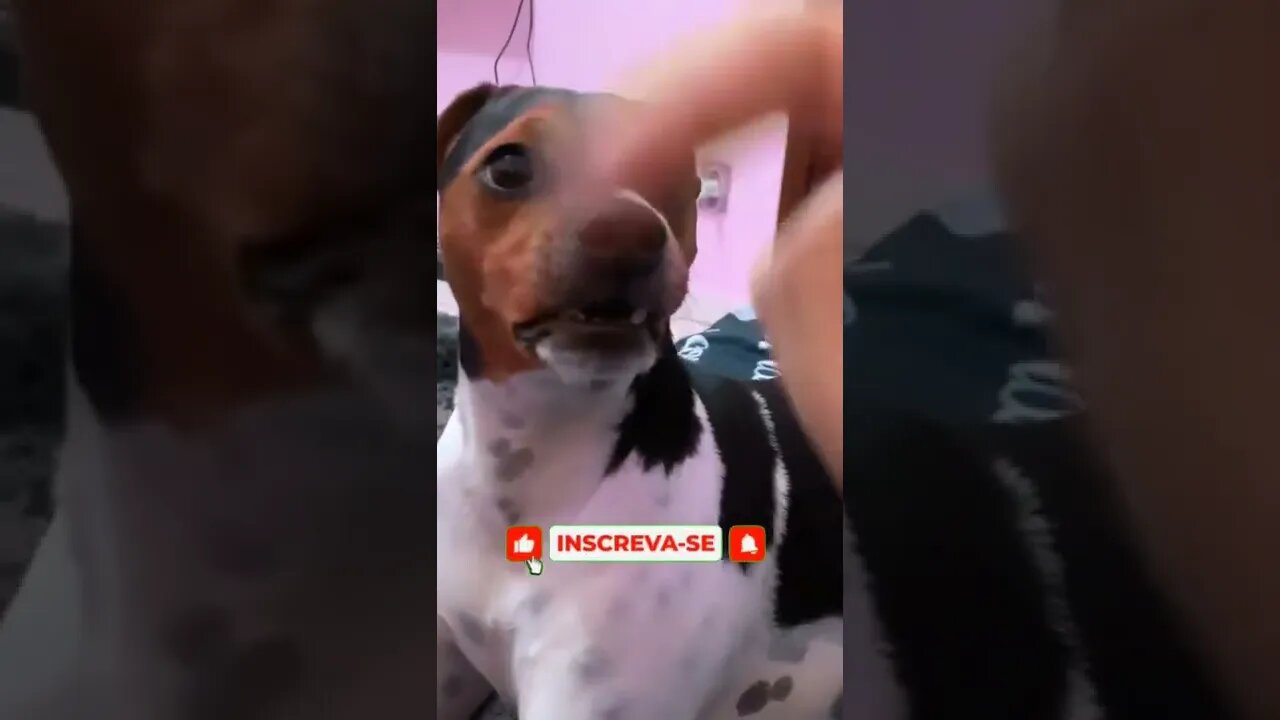 QUANDO VOCÊ PEGA RANÇO DA CARA DA PESSOA🤣🤣🤣