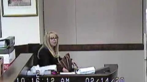 Colt matter before Cheryl Moss Clark County Family Court Judge 2/14/20 2-5