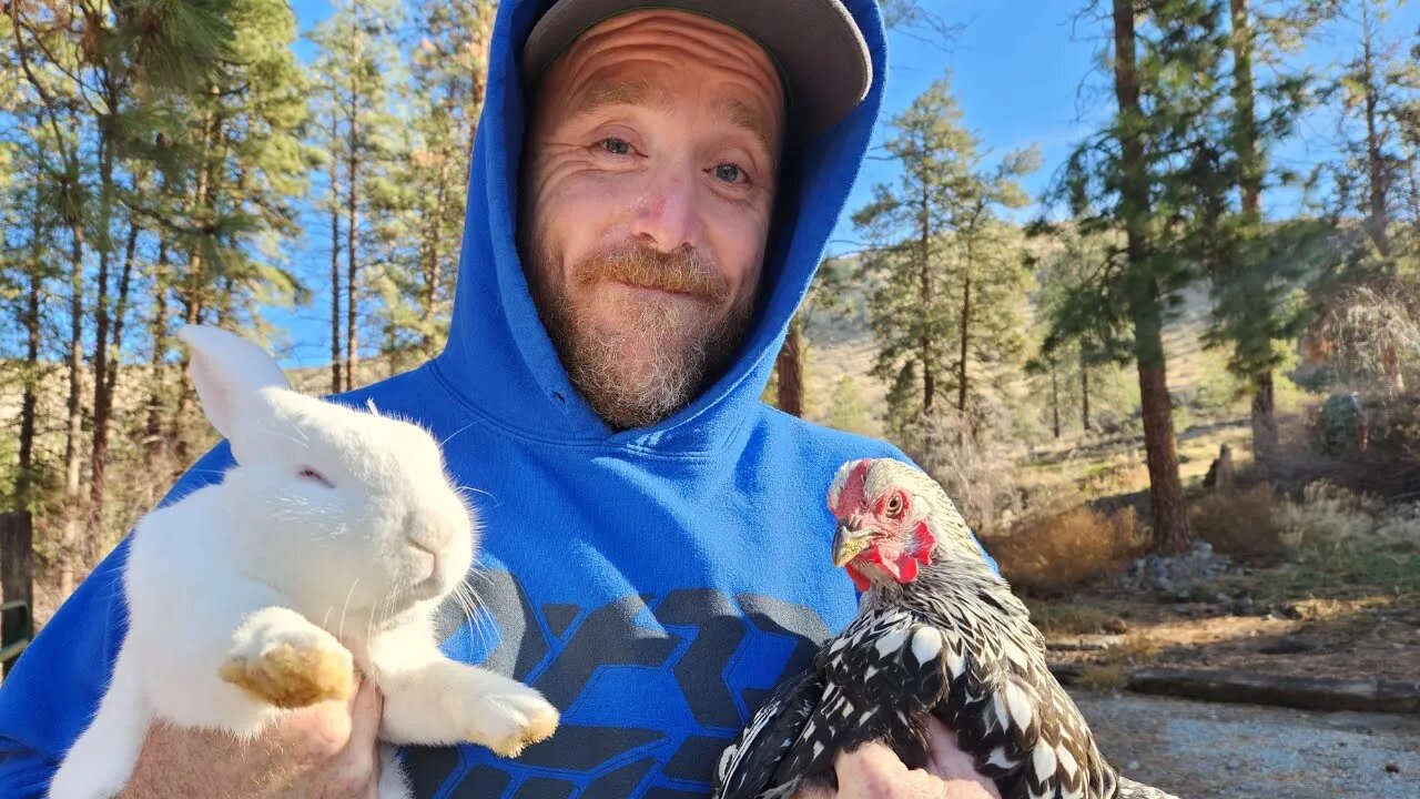 We're Down Sizing our Farm! (To A Homestead)