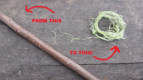 making cordage from mole berry bark.