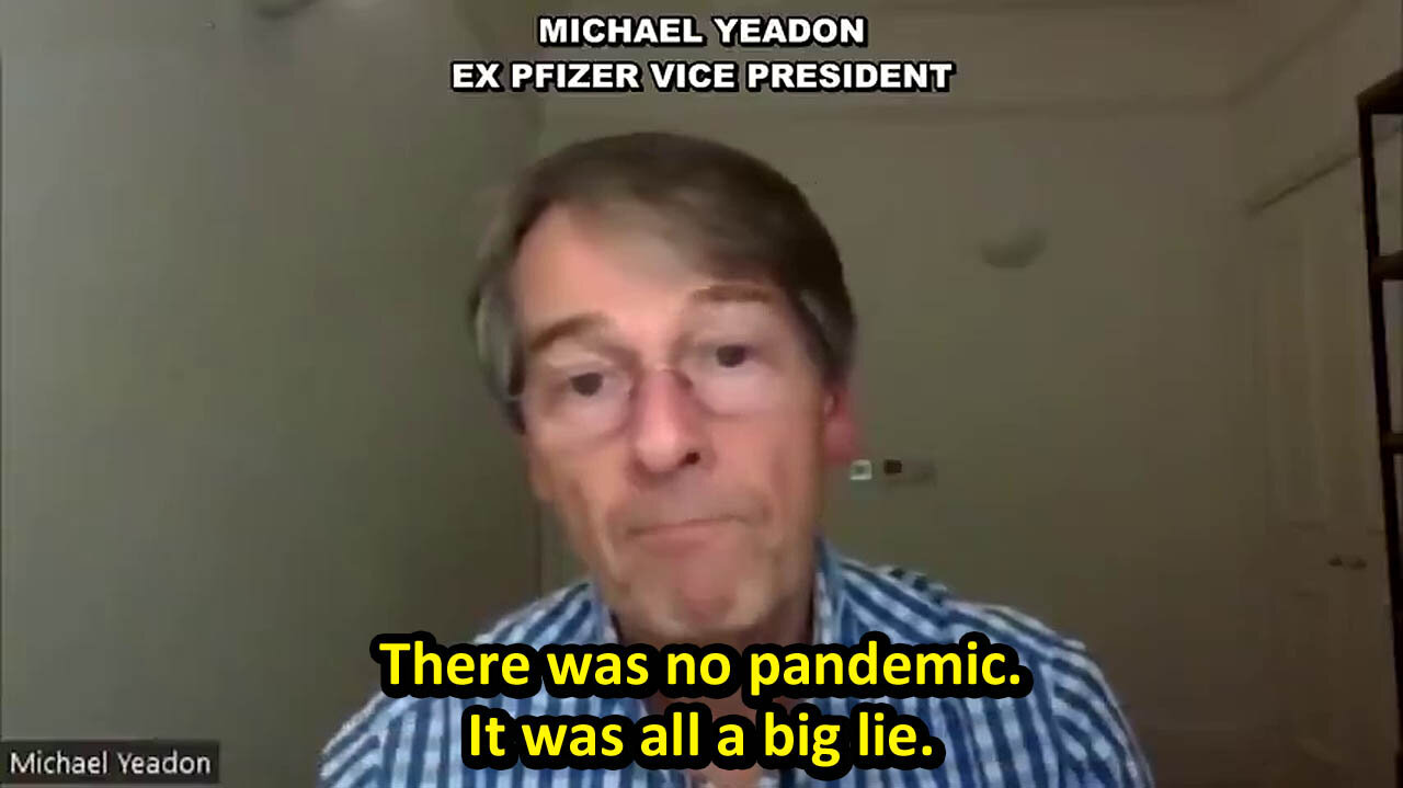 Ex Pfizer Vice President, Michael Yeadon: "There was NO Pandemic, it was a BIG LIE!" 🤥🦠💉