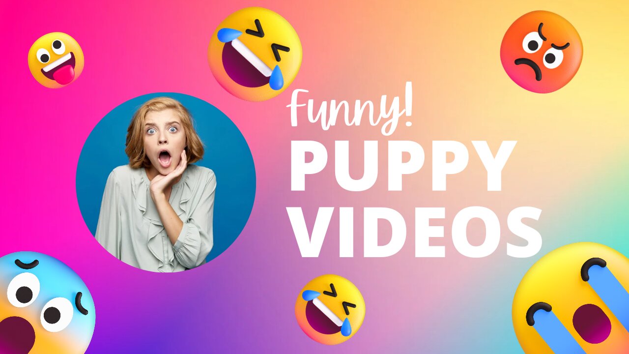 The Pet Collective is home to the top trending clips, most entertaining memes