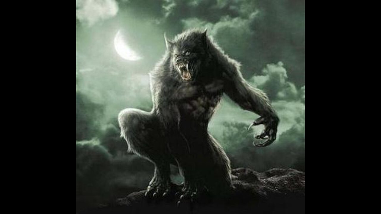 Dogman Caught on Video in Lake Griffin State Park Florida