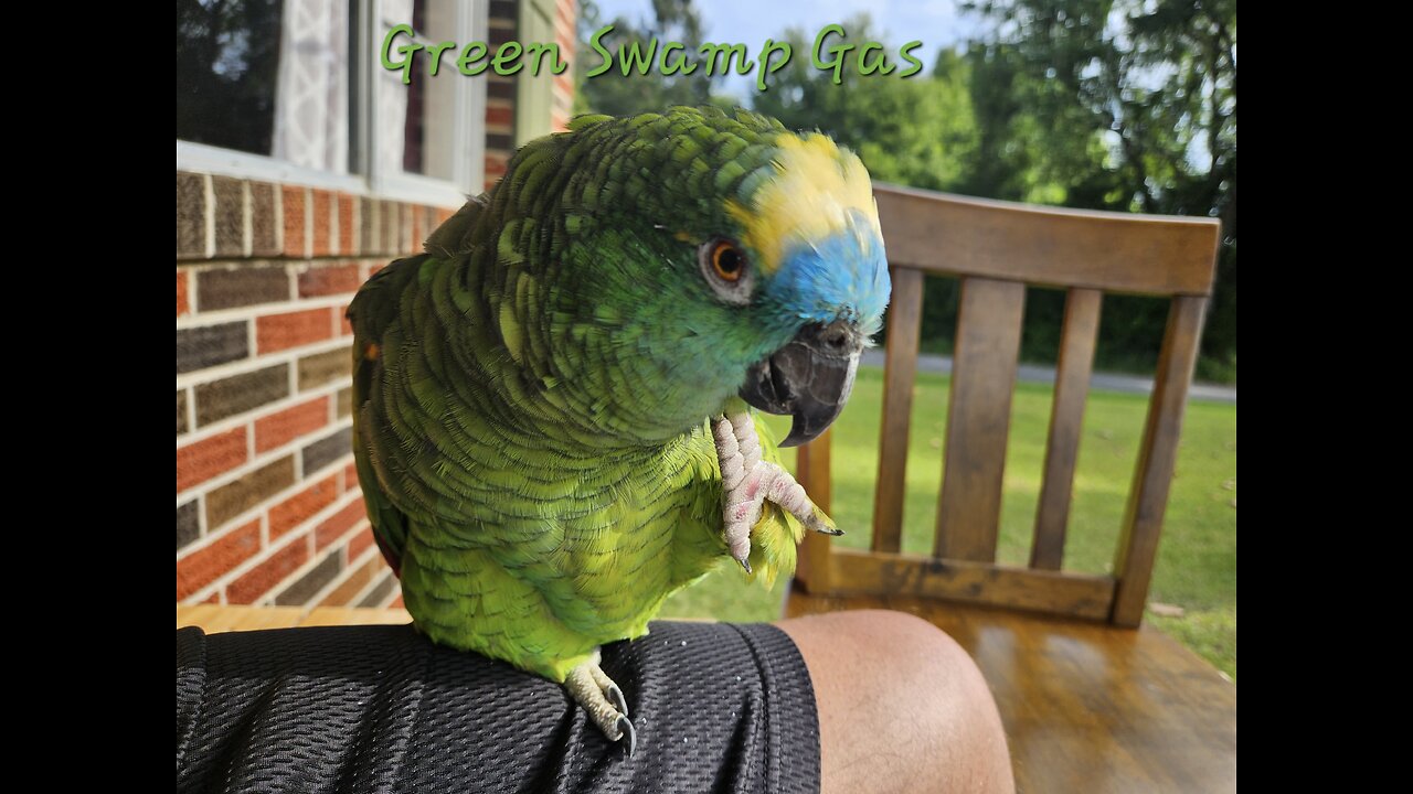 GSG Topless Thursday 002