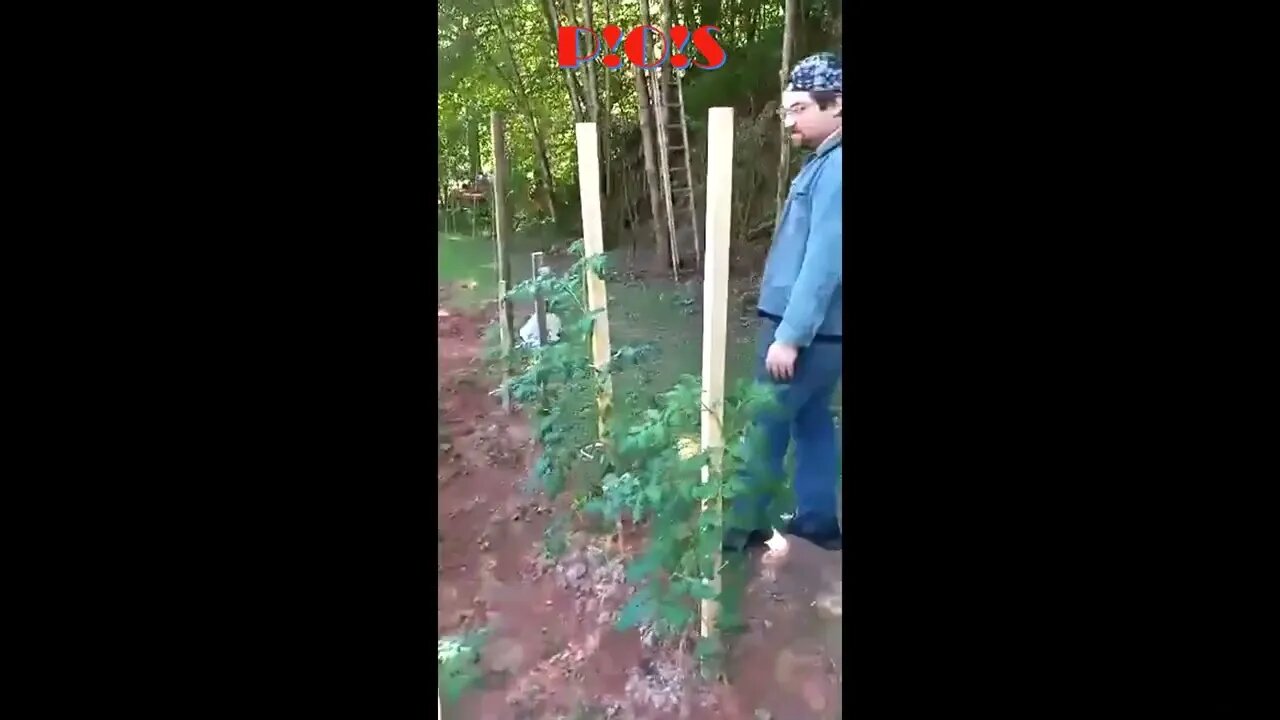 Prepper life///P!O!S