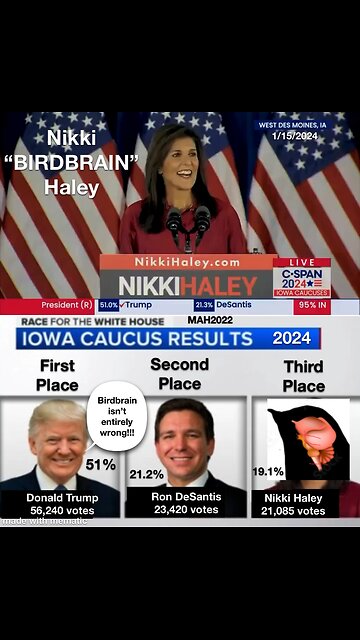 I Taut I Taw a Puddy Tat!!!