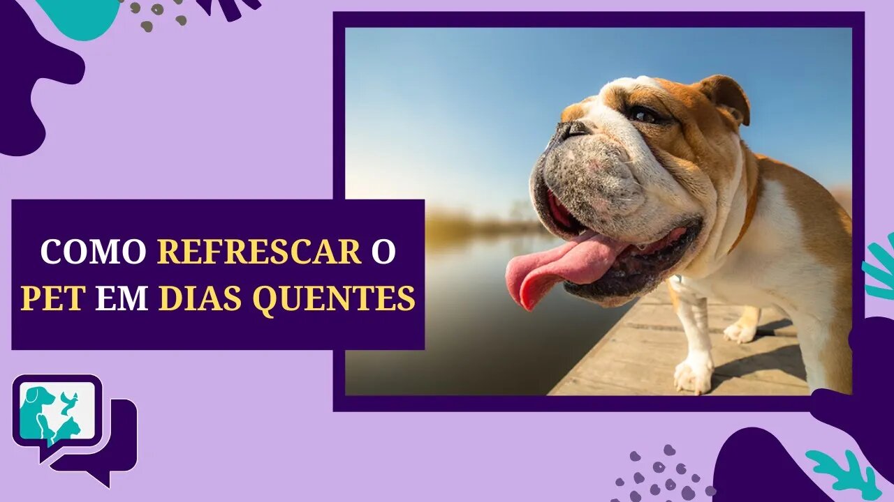 Cuidado Redobrado com os CACHORROS nos DIAS mais QUENTES