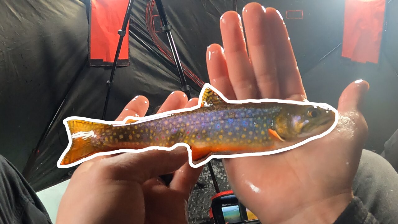 Ice Fishing Mitchell Lake Colorado for Beautiful Wild Brook Trout!