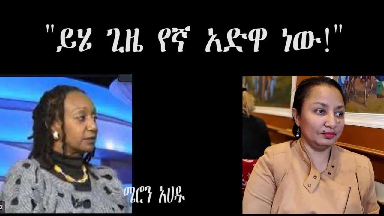 Ethio360 special program on the press release of the four Ethiopian civic organizations Nov 30, 2021