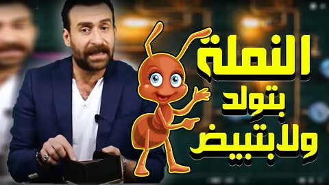 BOX FILSEKA M3NEDAL EL SHAF3Y- بوكس فالسكه مع النجم نضال الشافعي