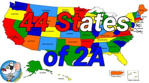 The Overnight #4: 44 States of 2A.