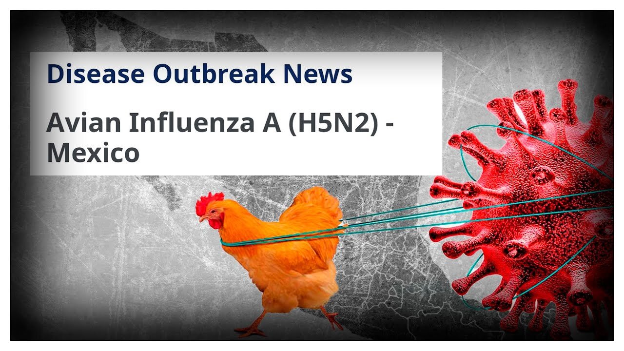 LA PROSSIMA PLANDEMIA DI INFLUENZA AVIARIA È PREVISTA PER IL 2024 CON VIRUS SINTETICI FATTI IN LABORATORIO PIANFICATA DAL WORLD ECOCNOMIC FORUM PER FARE IL GRANDE RESET ECONOMICO MONDIALE