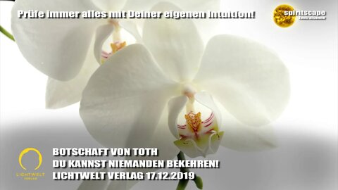 DU KANNST NIEMANDEN BEKEHREN! - BOTSCHAFT VON TOTH - LWV 17.12.2019