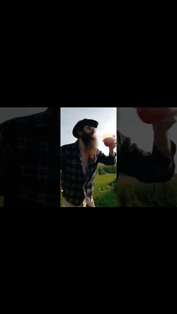 There's a Quack in it #ohhighbud #strangedanimal #comedyskits #missjohnson