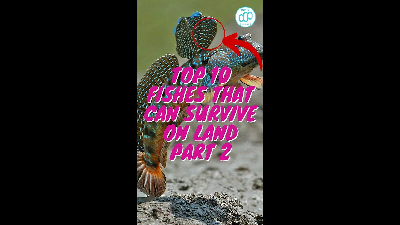 Top 10 Fishes That Can Survive On Land Part 2