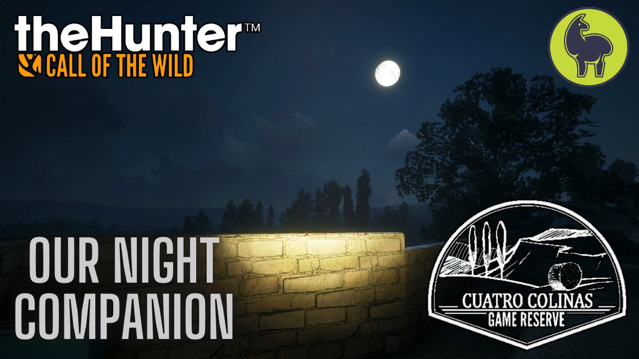 Our Night Companion, Cuatro Colinas | theHunter: Call of the Wild (PS5 4K)