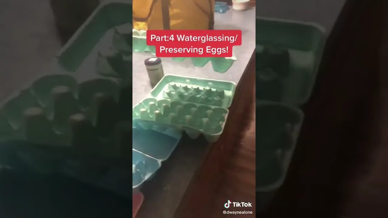 Part 4 Water Glassing Eggs is Fun!