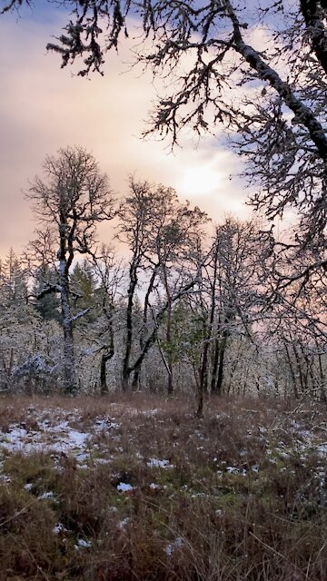 PACIFIC NORTHWEST SUNSET