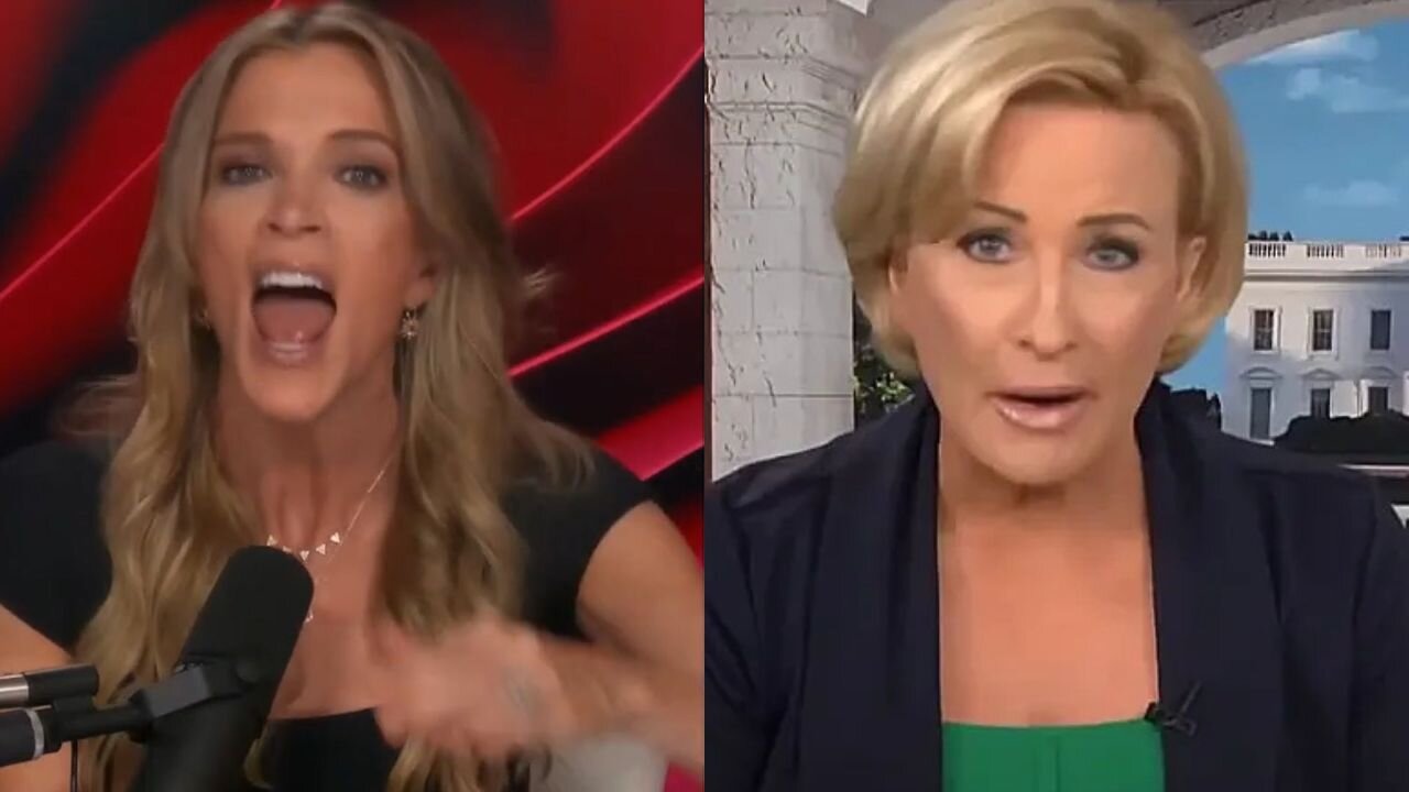 'Over Her F**king Bulls**t' - Megyn Kelly Torches MSNBC Host Mika