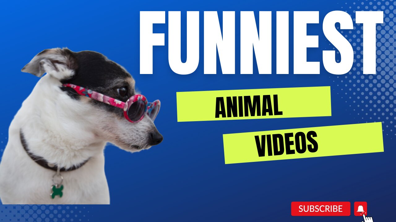 "Laugh Until You Cry - The Funniest Animal Videos Ever!"