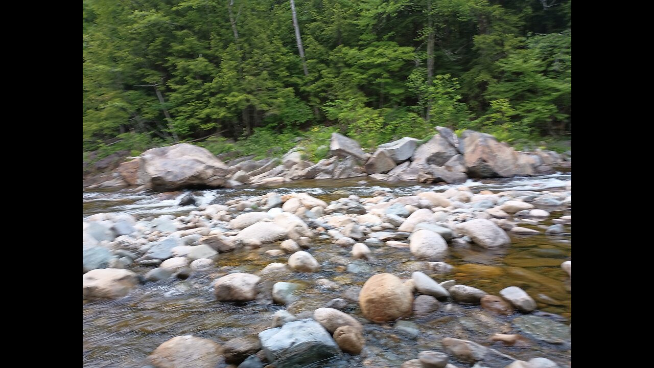 Digging for Gold, and Exploring the Wild Amanoosic River