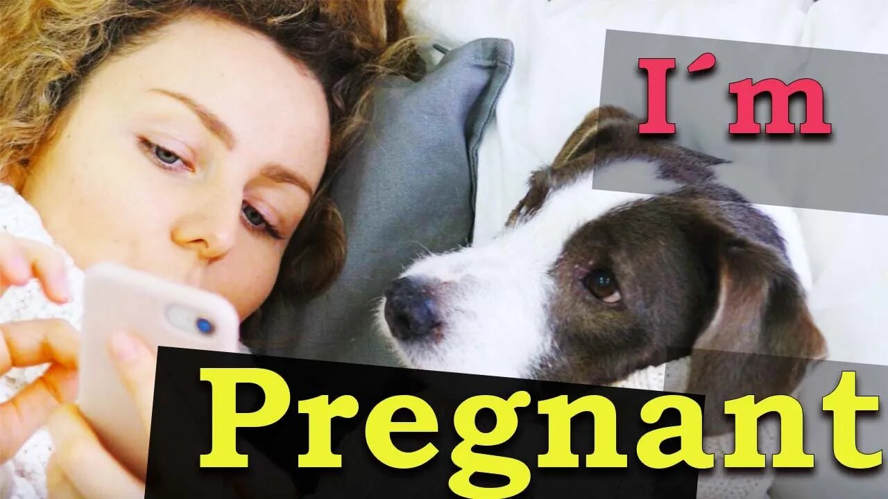 Telling my dog I´m pregnant #Shorts