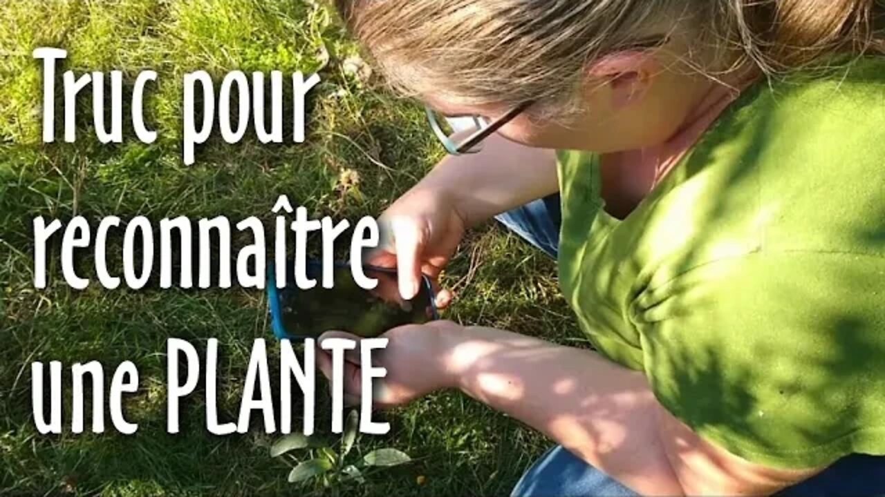 Une APPLICATION pour reconnaître les PLANTES et ARBRES #177