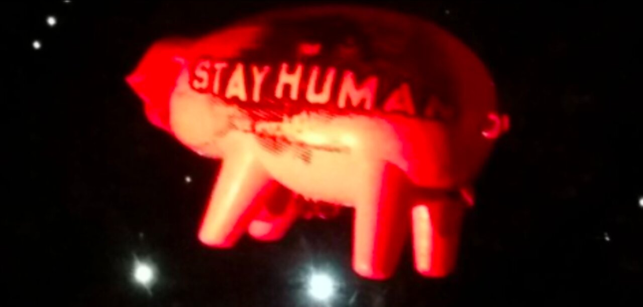 MondoVisione - RESIST & STAY HUMAN