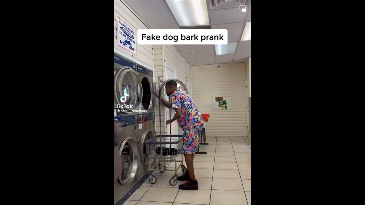 Fake dog bark prank