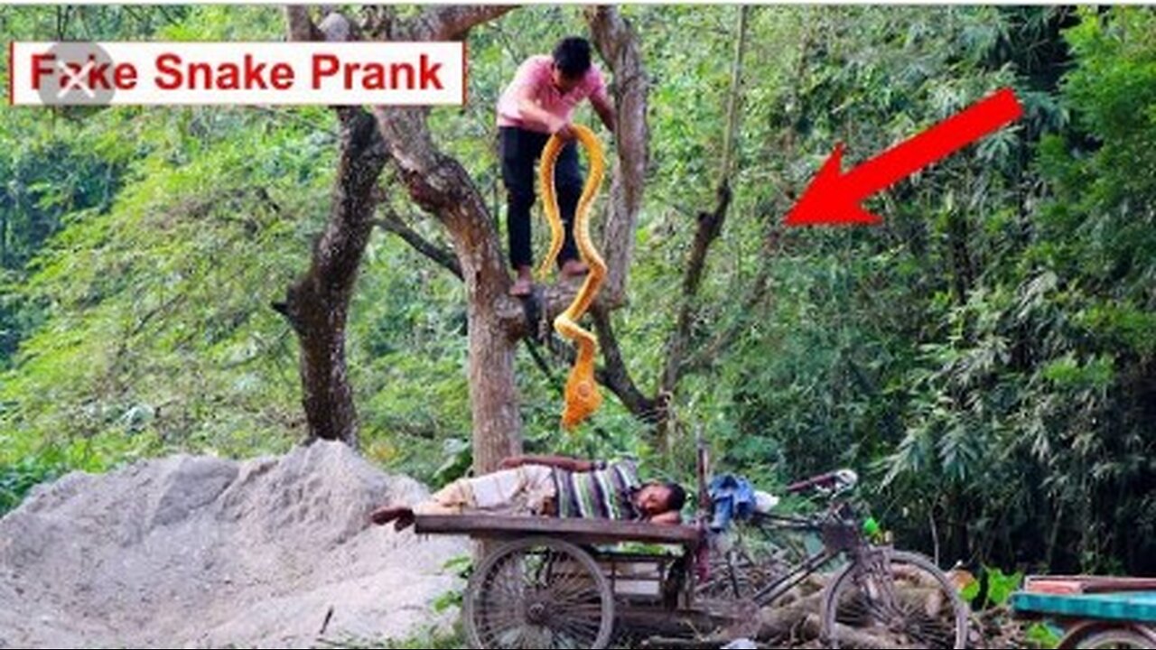 COBRA SNAKE PRANK🐍🐍😂😂