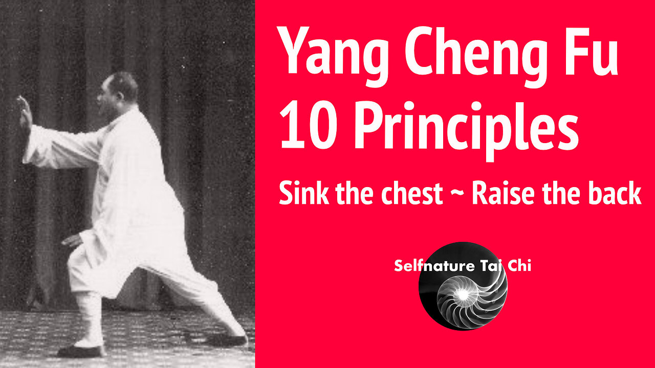 Yang Cheng Fu - 10 Tai Chi Principles - Sink the Chest, Raise the back