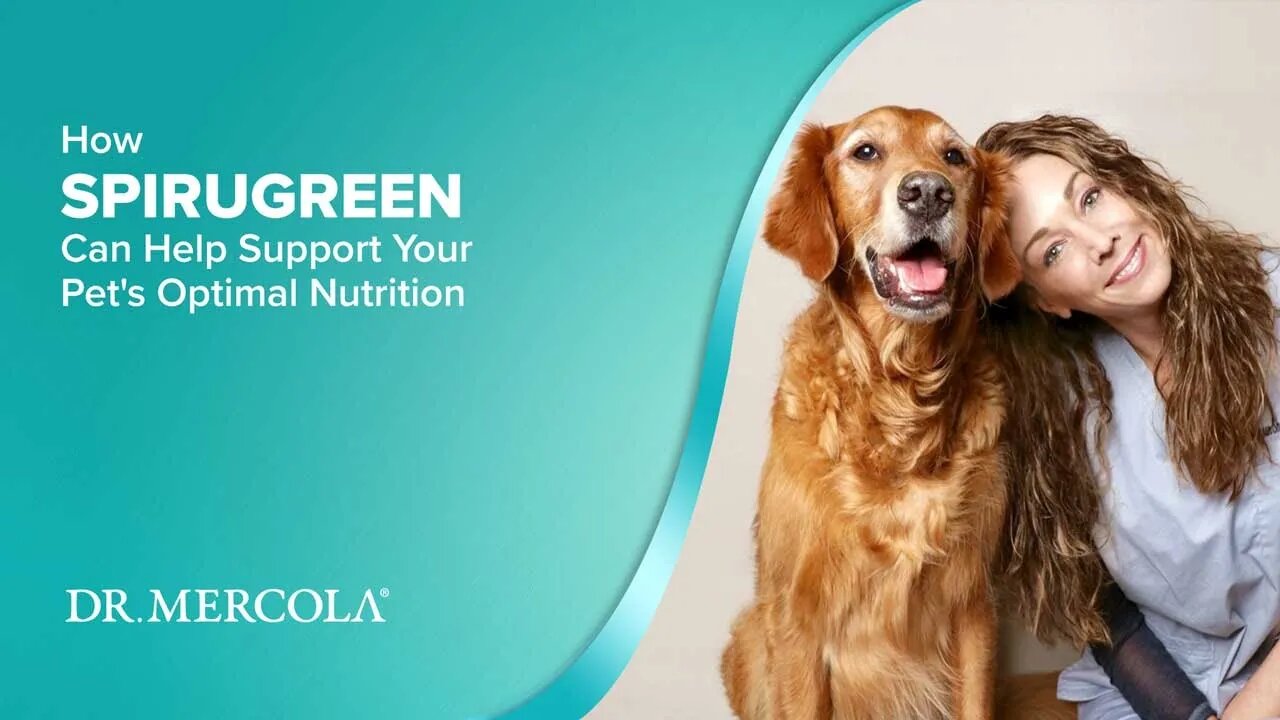 How SPIRUGREEN Can Help Support Your Pet's Optimal Nutrition