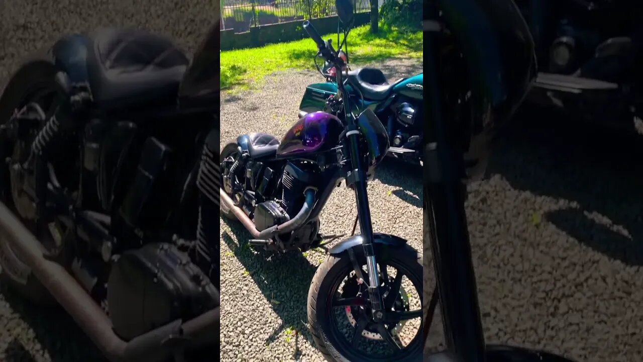 Drag Star, Savage ou Street Glide? Qual é a sua?
