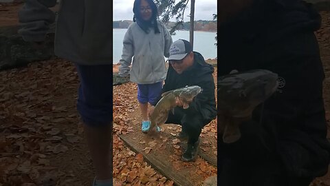 Big Catfish from a little girl Peyton did great! #outdoors #fish