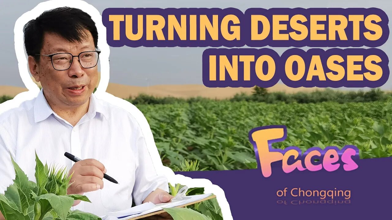 Faces of Chongqing: Yi Zhijian, a Breakthrough of Turning Deserts into Oases