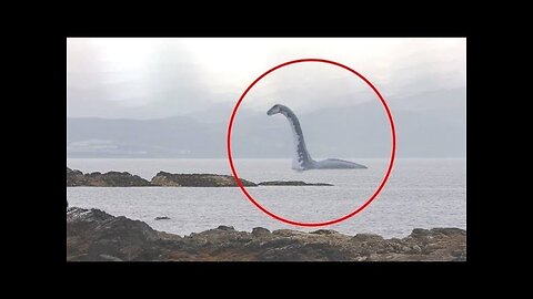 5 sea Serpent caught on camera