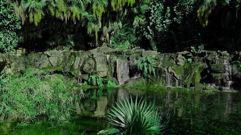 Sounds of a waterfall in the forest. Sounds of water. Forest beauty.