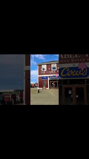 The Cable Wharf Cows Ice Cream