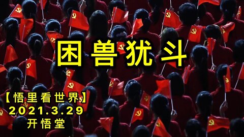 KWT1400困兽犹斗20210329-1【悟里看世界】