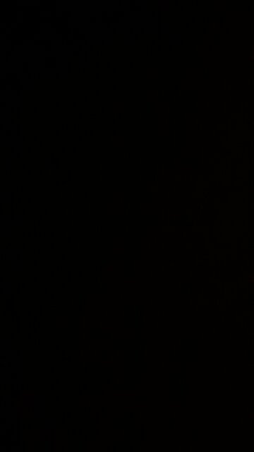 Biden is a god to the left and the CRT is their Bible