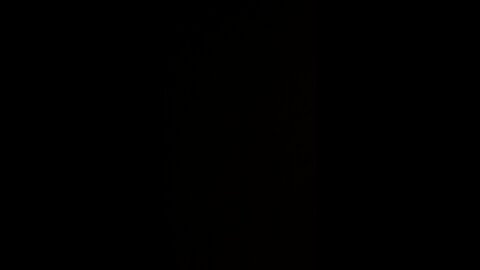 Biden is a god to the left and the CRT is their Bible