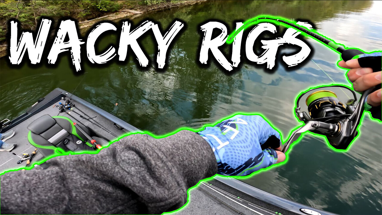 Springtime WACKY RIGS for Bass – Blue Marsh Lake